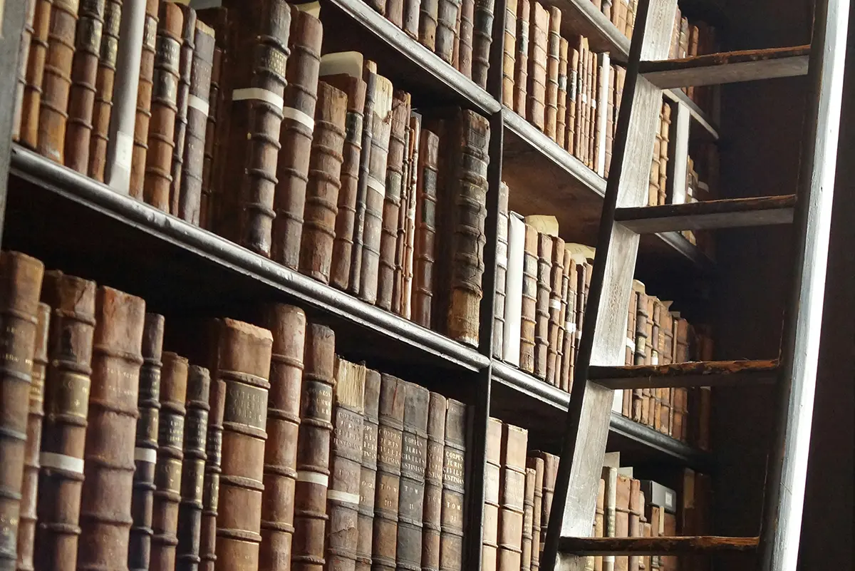 Technical writing in literature